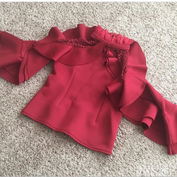 Raspberry Ruffle Sheer Sleeves Top - Picture 2 of 2